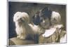 Studio Portrait, Young Woman with Two Dogs-null-Mounted Photographic Print