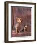 Studio Portraits of Two Yorkshire Terriers, One Lying Down and the Other Sitting up and Looking Up-Adriano Bacchella-Framed Premium Photographic Print