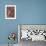 Studio Portraits of Two Yorkshire Terriers, One Lying Down and the Other Sitting up and Looking Up-Adriano Bacchella-Framed Photographic Print displayed on a wall