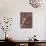 Studio Portraits of Two Yorkshire Terriers, One Lying Down and the Other Sitting up and Looking Up-Adriano Bacchella-Mounted Photographic Print displayed on a wall