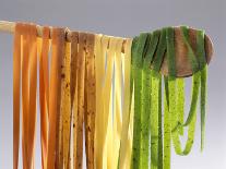 Homemade Fettuccini-Studio R. Schmitz-Laminated Photographic Print