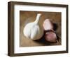 Studio Shot of a Bulb (Head) and Individual Cloves of Garlic-Lee Frost-Framed Photographic Print