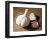 Studio Shot of a Bulb (Head) and Individual Cloves of Garlic-Lee Frost-Framed Photographic Print