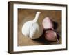 Studio Shot of a Bulb (Head) and Individual Cloves of Garlic-Lee Frost-Framed Photographic Print