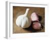 Studio Shot of a Bulb (Head) and Individual Cloves of Garlic-Lee Frost-Framed Photographic Print