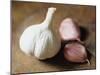 Studio Shot of a Bulb (Head) and Individual Cloves of Garlic-Lee Frost-Mounted Photographic Print