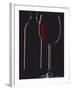 Studio Shot of Back-Lit Glass and Bottle of Red Wine-Lee Frost-Framed Photographic Print