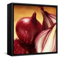 Studio Shot of Red Onions-John Miller-Framed Stretched Canvas