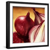 Studio Shot of Red Onions-John Miller-Framed Photographic Print