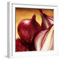 Studio Shot of Red Onions-John Miller-Framed Photographic Print