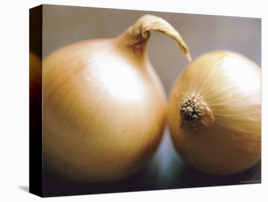 Studio Shot of Two Onions-Lee Frost-Stretched Canvas