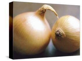 Studio Shot of Two Onions-Lee Frost-Stretched Canvas