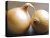 Studio Shot of Two Onions-Lee Frost-Stretched Canvas