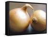 Studio Shot of Two Onions-Lee Frost-Framed Stretched Canvas
