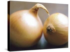 Studio Shot of Two Onions-Lee Frost-Stretched Canvas