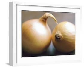 Studio Shot of Two Onions-Lee Frost-Framed Photographic Print