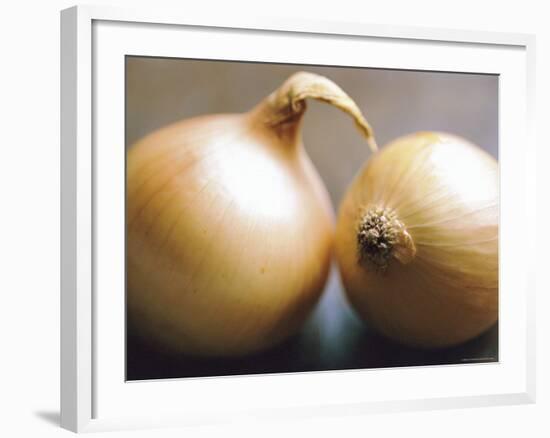Studio Shot of Two Onions-Lee Frost-Framed Photographic Print