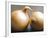 Studio Shot of Two Onions-Lee Frost-Framed Photographic Print