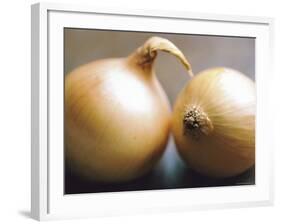 Studio Shot of Two Onions-Lee Frost-Framed Photographic Print