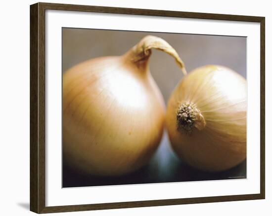 Studio Shot of Two Onions-Lee Frost-Framed Photographic Print