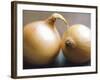 Studio Shot of Two Onions-Lee Frost-Framed Photographic Print