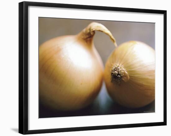 Studio Shot of Two Onions-Lee Frost-Framed Photographic Print