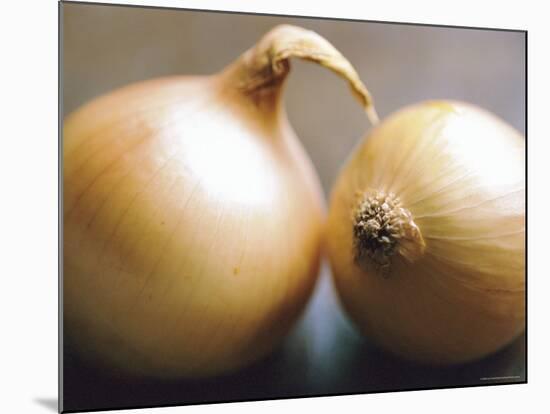 Studio Shot of Two Onions-Lee Frost-Mounted Photographic Print