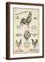 Brown Frame