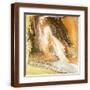 Brown Frame