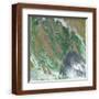 Brown Frame