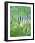 Studio Window II-Herb Dickinson-Framed Photographic Print