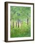 Studio Window-Herb Dickinson-Framed Photographic Print