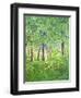 Studio Window-Herb Dickinson-Framed Photographic Print