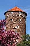 Wawel in Spring-StudioBarcelona-Framed Photographic Print