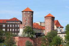 Wawel in Spring-StudioBarcelona-Mounted Photographic Print