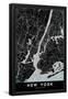 Essential Black