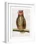 Studious Owl-Christopher James-Framed Art Print