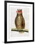 Studious Owl-Christopher James-Framed Art Print