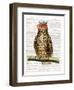 Studious Owl-Christopher James-Framed Art Print