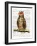 Studious Owl-Christopher James-Framed Art Print