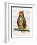 Studious Owl-Christopher James-Framed Art Print