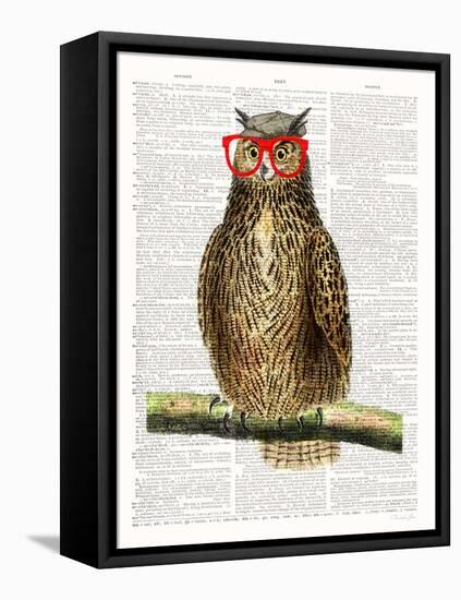Studious Owl-Christopher James-Framed Stretched Canvas