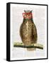 Studious Owl-Christopher James-Framed Stretched Canvas