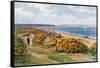 Studland Bay-Alfred Robert Quinton-Framed Stretched Canvas