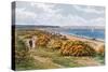 Studland Bay-Alfred Robert Quinton-Stretched Canvas