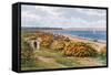 Studland Bay-Alfred Robert Quinton-Framed Stretched Canvas