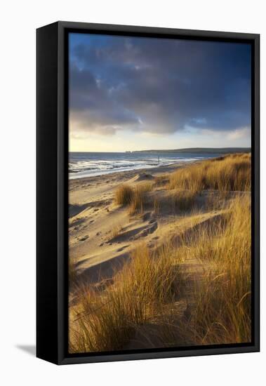 Studland Beach with Views to Old Harry Rocks, Dorset, England. Winter-Adam Burton-Framed Stretched Canvas