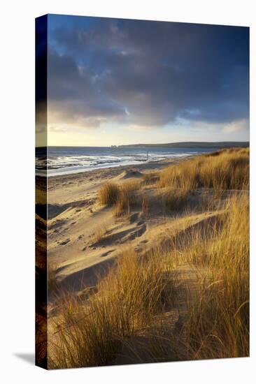 Studland Beach with Views to Old Harry Rocks, Dorset, England. Winter-Adam Burton-Stretched Canvas