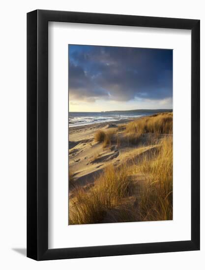 Studland Beach with Views to Old Harry Rocks, Dorset, England. Winter-Adam Burton-Framed Photographic Print