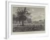 Studley Royal-William Henry James Boot-Framed Giclee Print